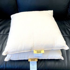 Rawganique Throw pillows Set